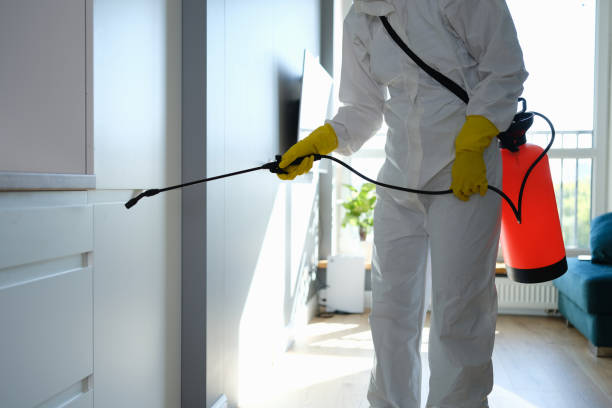 Best Mold Testing  in Rockdale, IL