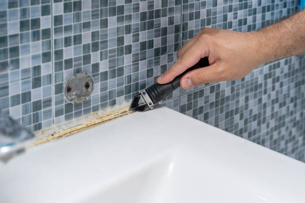 Best Local Mold Removal Service  in Rockdale, IL