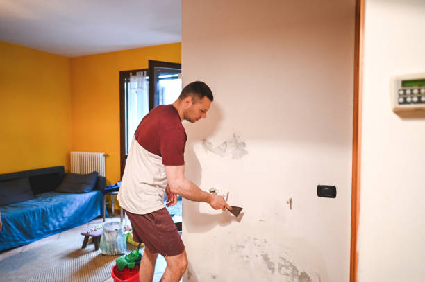 Best Toxic Mold Removal  in Rockdale, IL